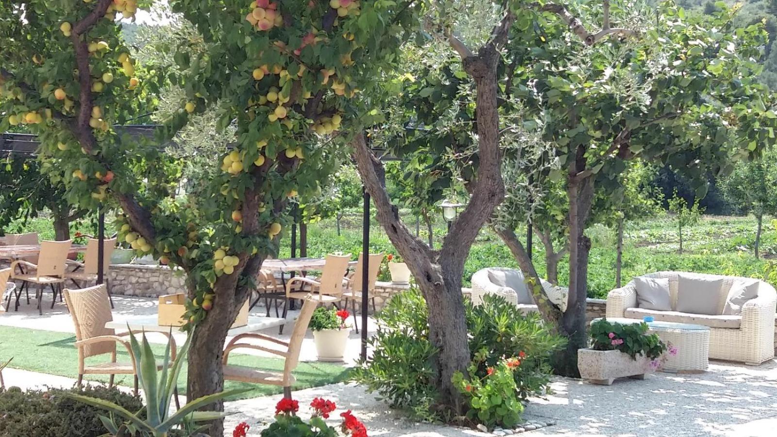 Hotel Il Gelso Bianco Vieste Esterno foto